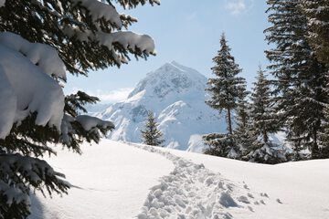 Snowshoeing