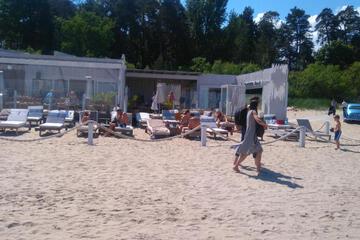 Photo 42