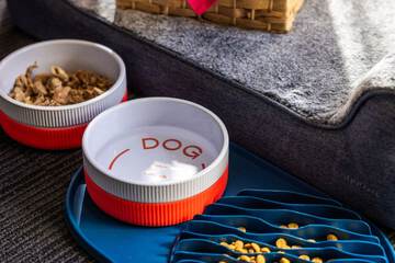 Pet-friendly amenities