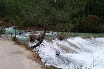 Photo 41