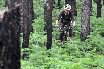 Bicycling