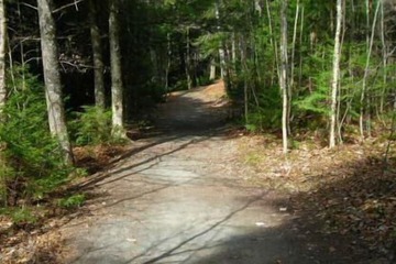 Hiking