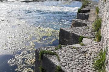 Photo 43