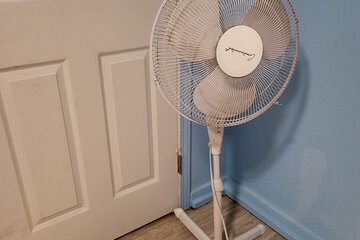 Fan