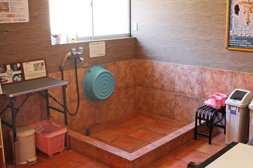 Pet-friendly amenities