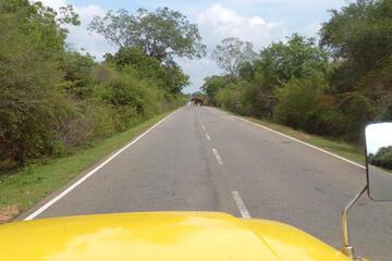 Photo 32