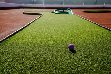 Mini-golf