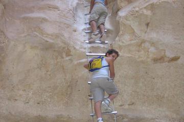 Photo 40