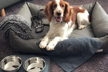 Pet-friendly