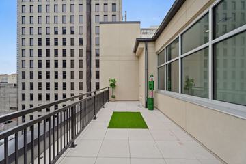 Pet-friendly amenities