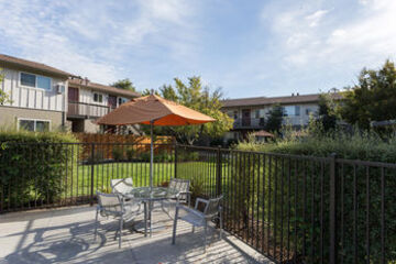 Terrace or Patio