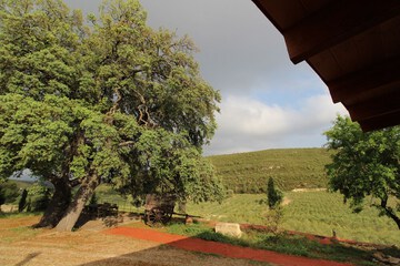 View from room