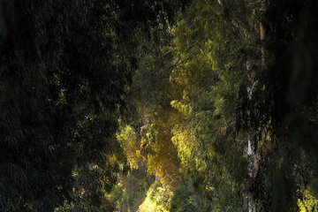 Land view from property