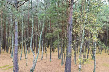 Land view from property