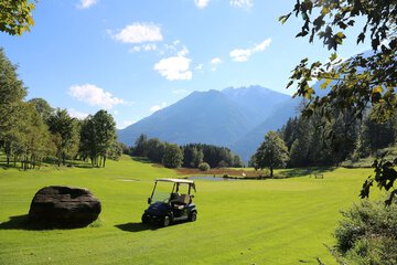 Golf cart