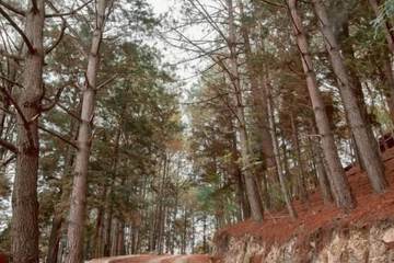 Land view from property