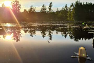Photo 40