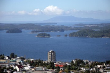 Photo 49