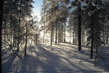Photo 29