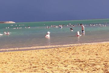Photo 43