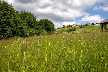 Ecotours