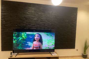 Television