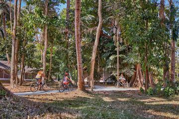 Bicycling