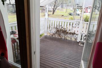 Photo 48