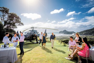Helicopter/plane tours