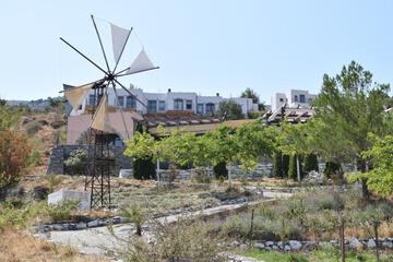 Photo 43