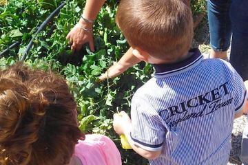 Children's activities