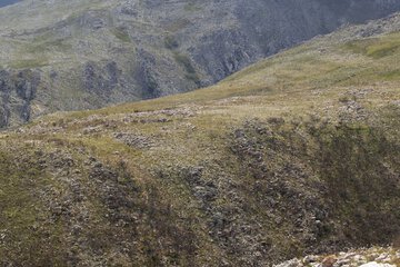 Hiking
