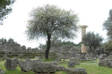 Photo 28