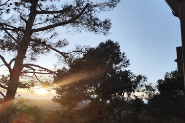 Land view from property