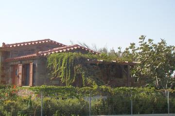 Photo 33