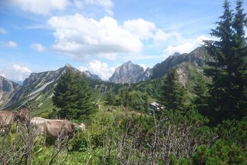 Hiking