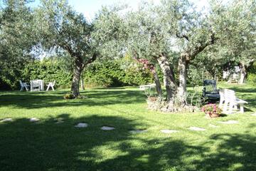 Photo 58