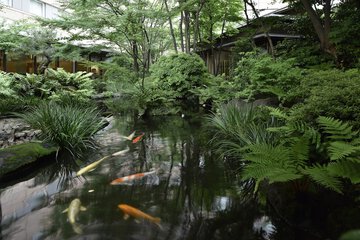 Japanese garden