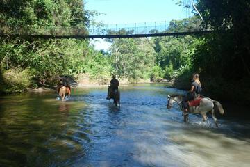 Photo 43
