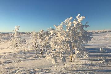 Snowmobiling