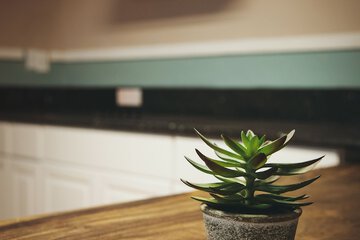 Shared kitchen