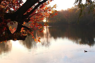 Lake