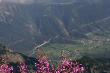 Ecotours