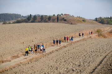 Hiking