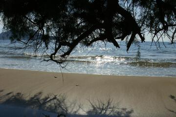 Photo 36