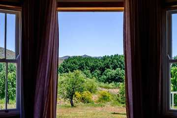 View from room
