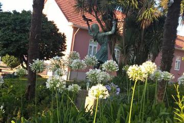 Photo 44