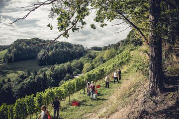 Winery