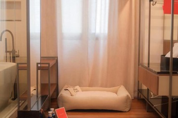 Pet-friendly amenities