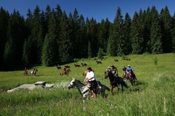 Horseback riding